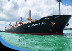 MV AM Ocean Star