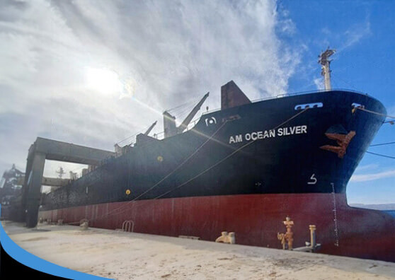 MV AM Ocean Silver