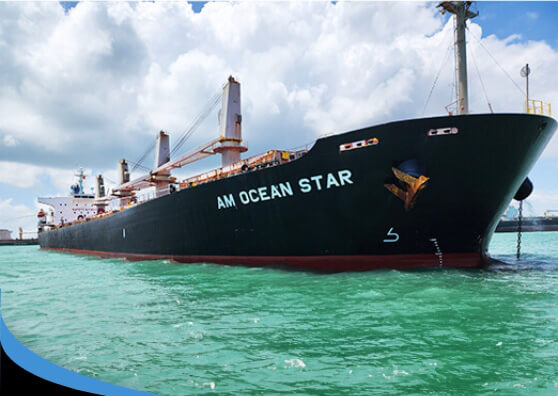 MV AM Ocean Star